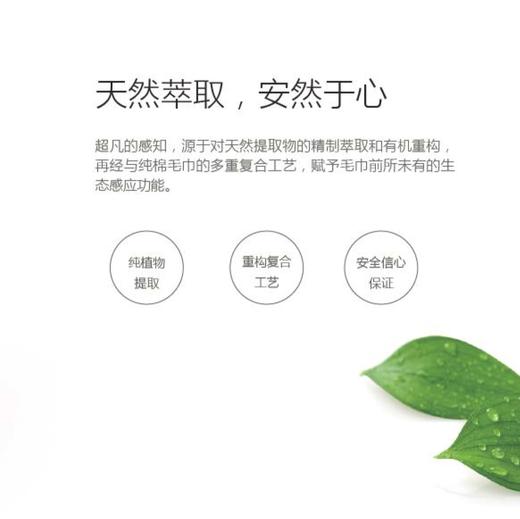 双灯家纺   生态感应智能毛巾 商品图4