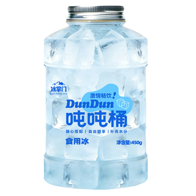 冰掌门450g吨吨桶食用冰