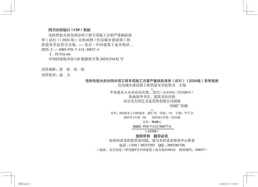 任选危险性较大的分部分项工程专项施工方案严重缺陷清单（试行）（2024版）宣传画册 商品图1