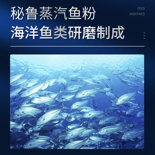淘牧 秘鲁鱼粉500g 蒸汽鱼粉 高新鲜度 易消化 不掺假 商品图4