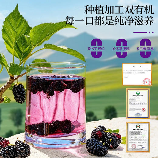 神农金康 【大果】有机桑葚干400克 全家老少即食零食   原生态真滋补 喝护家人健康 商品图4