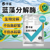 华畜蓝藻分解酶溶解蓝藻水产养殖生物分解溶氧低鱼虾蟹鱼塘除蓝藻 商品缩略图0