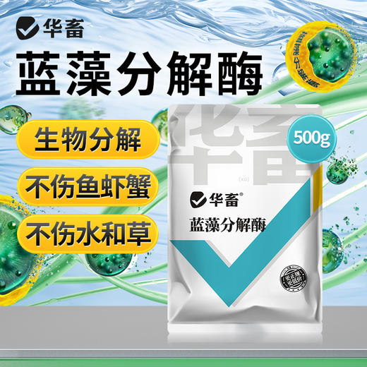 华畜蓝藻分解酶溶解蓝藻水产养殖生物分解溶氧低鱼虾蟹鱼塘除蓝藻 商品图0