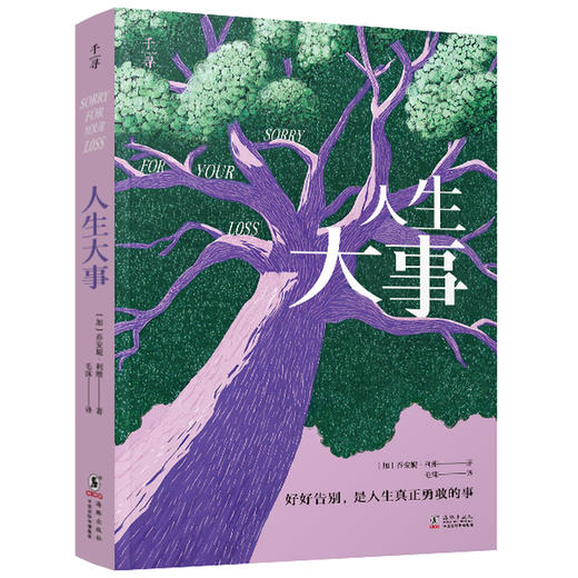 【走，去书里玩——联合推荐书单】千寻文学·人生大事  儿童文学 〔加〕乔安妮·利维/著 毛沫/译 商品图2