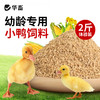 华畜小鸭子饲料喂鸭专用小鸟小黄鸭子小鹅小鸡吃的粮食物饲料雏鸭 商品缩略图2