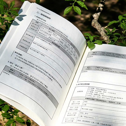 TikTok跨境电商速成笔记 商品图5