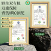 神农金康 有机古树青钱柳茶 原生态真滋补 喝护家人健康 商品缩略图9