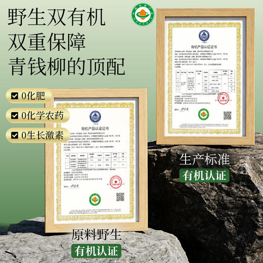 神农金康 有机古树青钱柳茶 原生态真滋补 喝护家人健康 商品图9