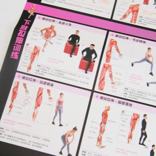 拉伸训练解剖挂图 商品图4