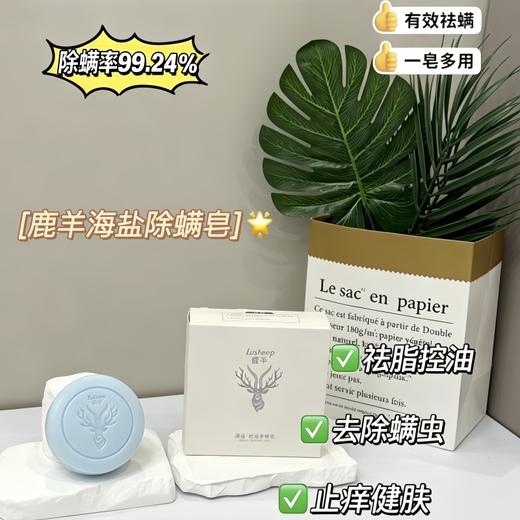 【鹿羊lusheep 海盐控油净螨皂】高山苦参+深海矿盐 双重除螨 专利配方 净螨清痘 清爽控油 温和0添加 沐浴洗脸洗手一块搞定 包装内送起泡网 100g/盒 商品图0