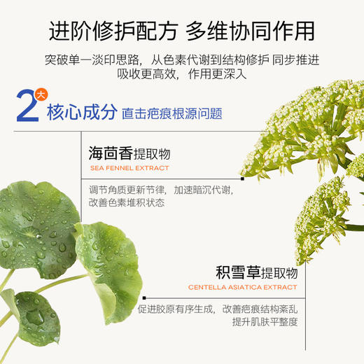 【Breathy布雷辛疤痕膏】淡黑印、修疤痕、褪红痒‼️露肤季必备 越早用效果越好 商品图3