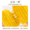 东北黑玉米黄玉米# 香嫩糯甜，通过非转基因、农残等749项检测，黑玉米花青素满满，黄玉米煲汤、炒菜、榨汁、做甜点、拌沙拉 商品缩略图3