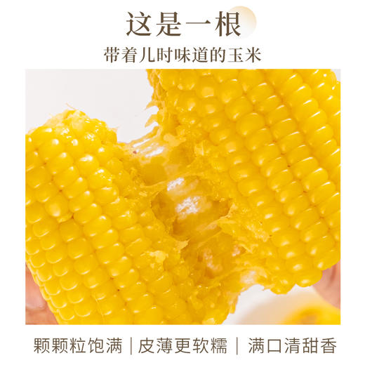 东北黑玉米黄玉米# 香嫩糯甜，通过非转基因、农残等749项检测，黑玉米花青素满满，黄玉米煲汤、炒菜、榨汁、做甜点、拌沙拉 商品图3