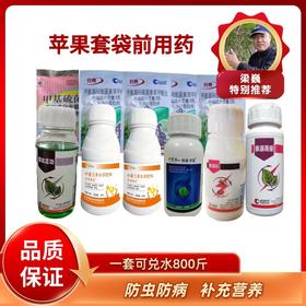 苹果套袋前方案