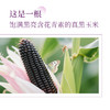 东北黑玉米黄玉米# 香嫩糯甜，通过非转基因、农残等749项检测，黑玉米花青素满满，黄玉米煲汤、炒菜、榨汁、做甜点、拌沙拉 商品缩略图4