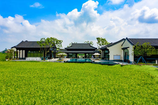 【觅趣241号院-5·新津】5房小院，稻田院子、十里稻香/油菜花、体验蔬菜采摘，游学mcf 商品图1
