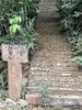 【库存告急！】【天门山小高杆】2025年天门山小高杆树高:6米以上 国境线旁的参天茶王，一竿入魂的顶级野韵，100克/饼*5饼/提 商品缩略图4