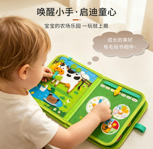 【赠品展示】毛毡布书 商品图1