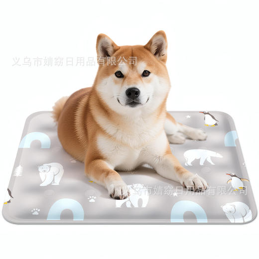 夏季用品降温宠物冰垫坐垫夏天狗狗耐抓耐咬宠物凉垫防水凝胶冰窝 商品图4