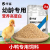 华畜小鸭子饲料喂鸭专用小鸟小黄鸭子小鹅小鸡吃的粮食物饲料雏鸭 商品缩略图1