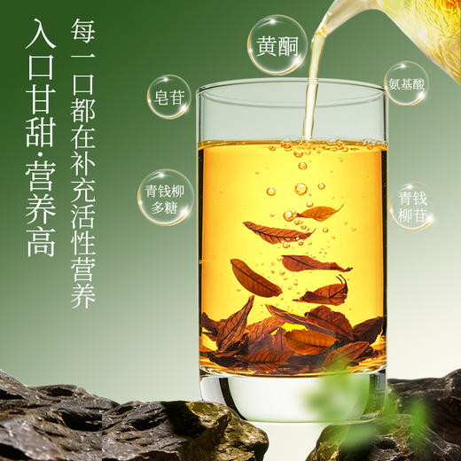 神农金康 有机古树青钱柳茶 原生态真滋补 喝护家人健康 商品图8