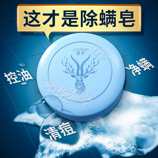【鹿羊lusheep 海盐控油净螨皂】高山苦参+深海矿盐 双重除螨 专利配方 净螨清痘 清爽控油 温和0添加 沐浴洗脸洗手一块搞定 包装内送起泡网 100g/盒 商品图3