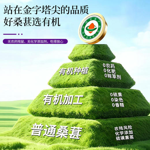神农金康 【大果】有机桑葚干400克 全家老少即食零食   原生态真滋补 喝护家人健康 商品图1