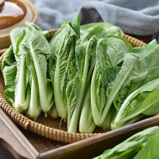 小白菜300g 商品图3