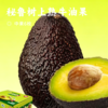 秘鲁树上熟牛油果 | 入口丝滑浓郁，清甜绵密!被誉为“森林黄油”!到手即食，轻松剥皮!鲜虾鸡蛋鱼子酱好搭配，吃法多样 商品缩略图0