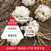 【即日起至5.16日 买5筒送3袋湿米粉】湖南隆回地标 | 有客瑶来龙牙百合挂面/面条 爽滑又筋道汤面烩面拌面炒面均适合 400克*4筒/5筒 800克*3筒礼盒装 商品缩略图7