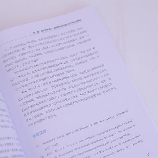 碳氢氮能源小分子的电化学转化 碳氢氮循环先进催化剂 商品图2