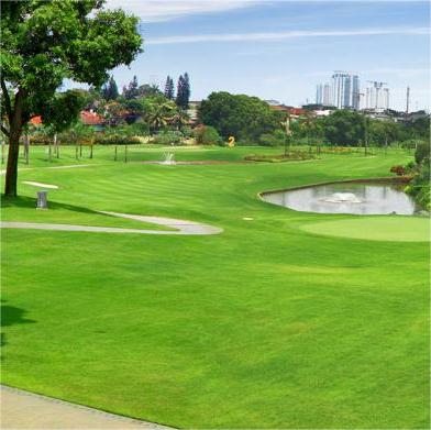 潘多克因达高尔夫俱乐部 Pondok Indah Golf Club | 雅加达高尔夫 | 印尼高尔夫球场俱乐部 商品图1