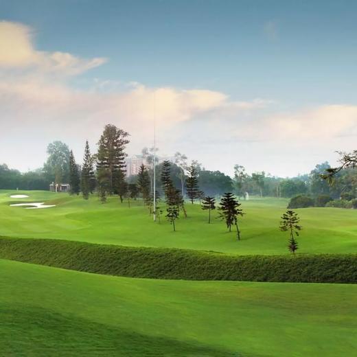 潘多克因达高尔夫俱乐部 Pondok Indah Golf Club | 雅加达高尔夫 | 印尼高尔夫球场俱乐部 商品图3