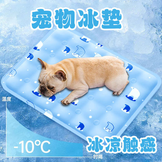 夏季用品宠物冰垫耐咬耐抓防咬猫用狗用降温宠物凉垫凉席睡垫 商品图0