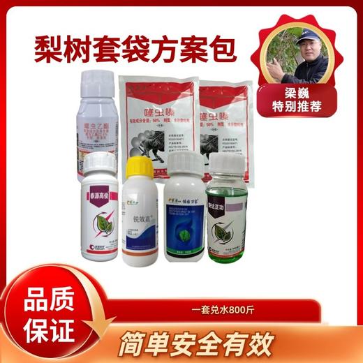 梨树套袋方案包  杀虫杀菌  全面防治一套兑水800斤 商品图0