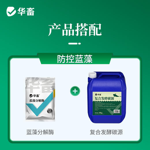 华畜蓝藻分解酶溶解蓝藻水产养殖生物分解溶氧低鱼虾蟹鱼塘除蓝藻 商品图5