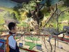 2026暑假儿童单飞营｜暖城少年行-一场贯穿沙漠、草原、城市的立体化成长实践（5天4晚含大交通） 商品缩略图4