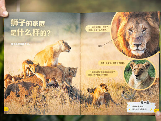 《你知道吗？少儿科普分级读物》（全20册）英国广播公司+企鹅出版社联合打造，以BBC纪录片为蓝本，按3~8岁孩子认知设计，培养爱提问、爱思考的科学脑，赠送60个纪录片视频片段+120张动物知识卡 商品图5