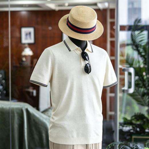 新款男士夏日绅士高级 丝棉V领polo/T恤衫  三款多色可选 商品图3