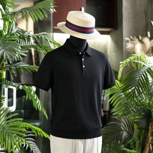 新款男士夏日绅士高级 丝棉V领polo/T恤衫  三款多色可选 商品图10