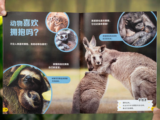 《你知道吗？少儿科普分级读物》（全20册）英国广播公司+企鹅出版社联合打造，以BBC纪录片为蓝本，按3~8岁孩子认知设计，培养爱提问、爱思考的科学脑，赠送60个纪录片视频片段+120张动物知识卡 商品图7