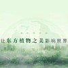 【干净配方】佰草童话 抗皱花瓣面膜 80ml/盒 六大植萃成分沁润肌肤 商品缩略图3