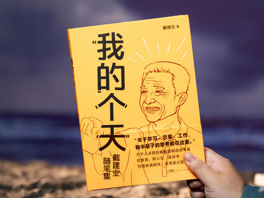 戴建业“口头禅三部曲”：《你听懂了没有》《我的个天》《浪漫得要命》，入选“感动中国年度人物”，三本书治愈千万人的精神内耗，当代人必读的“人间清醒”，篇篇有看点、句句有洞见 商品图3