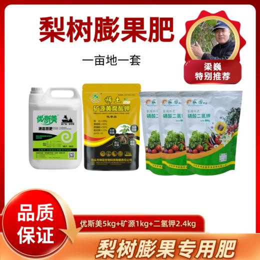 梨树膨果肥 商品图0