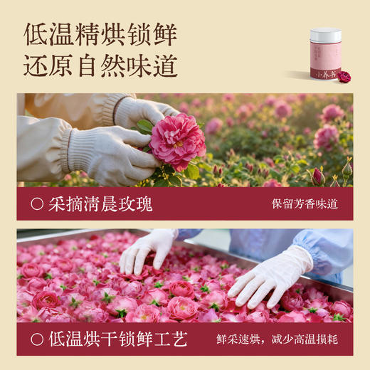 【618活动中】小养书平阴玫瑰花冠茶  朵大饱满  香气浓郁  喝出好气色 商品图3
