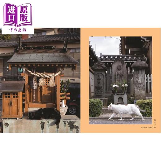 【中商原版】Neko: Cats of Japan 进口艺术 Neko：日本的猫 商品图3
