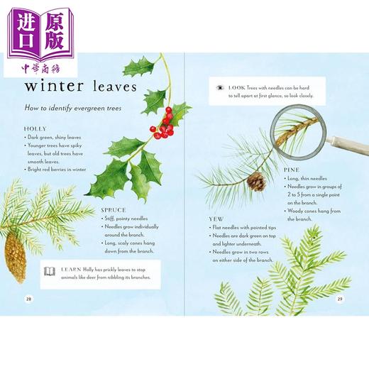 【中商原版】冬季户外指南 A Field Guide to Winter 英文原版 儿童科普绘本 袖珍版的冬季入门读物 自然知识 进口童书 精装 商品图3