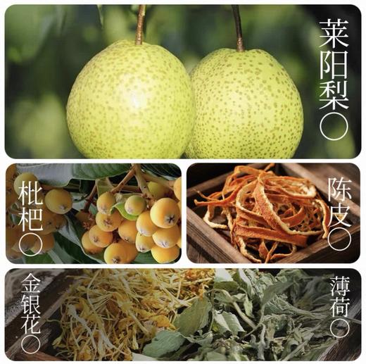 ⁴【近效清仓发3罐】陈李济陈皮枇杷秋梨膏 配料干净 不含水不含糖 原99 古法熬制 清甜润口 26年11月到期120g/瓶YC04-CR-HQ 商品图3