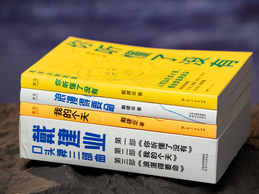 戴建业“口头禅三部曲”：《你听懂了没有》《我的个天》《浪漫得要命》，入选“感动中国年度人物”，三本书治愈千万人的精神内耗，当代人必读的“人间清醒”，篇篇有看点、句句有洞见 商品图2