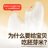 秋田满满 有机胚芽米300g（米砖)工程北米  [6月+]【5月早餐团】 商品缩略图1